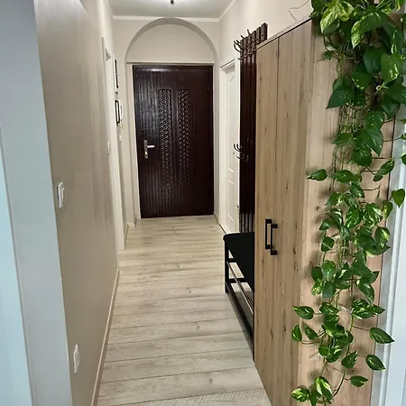 Apartment Via Dell' Arena